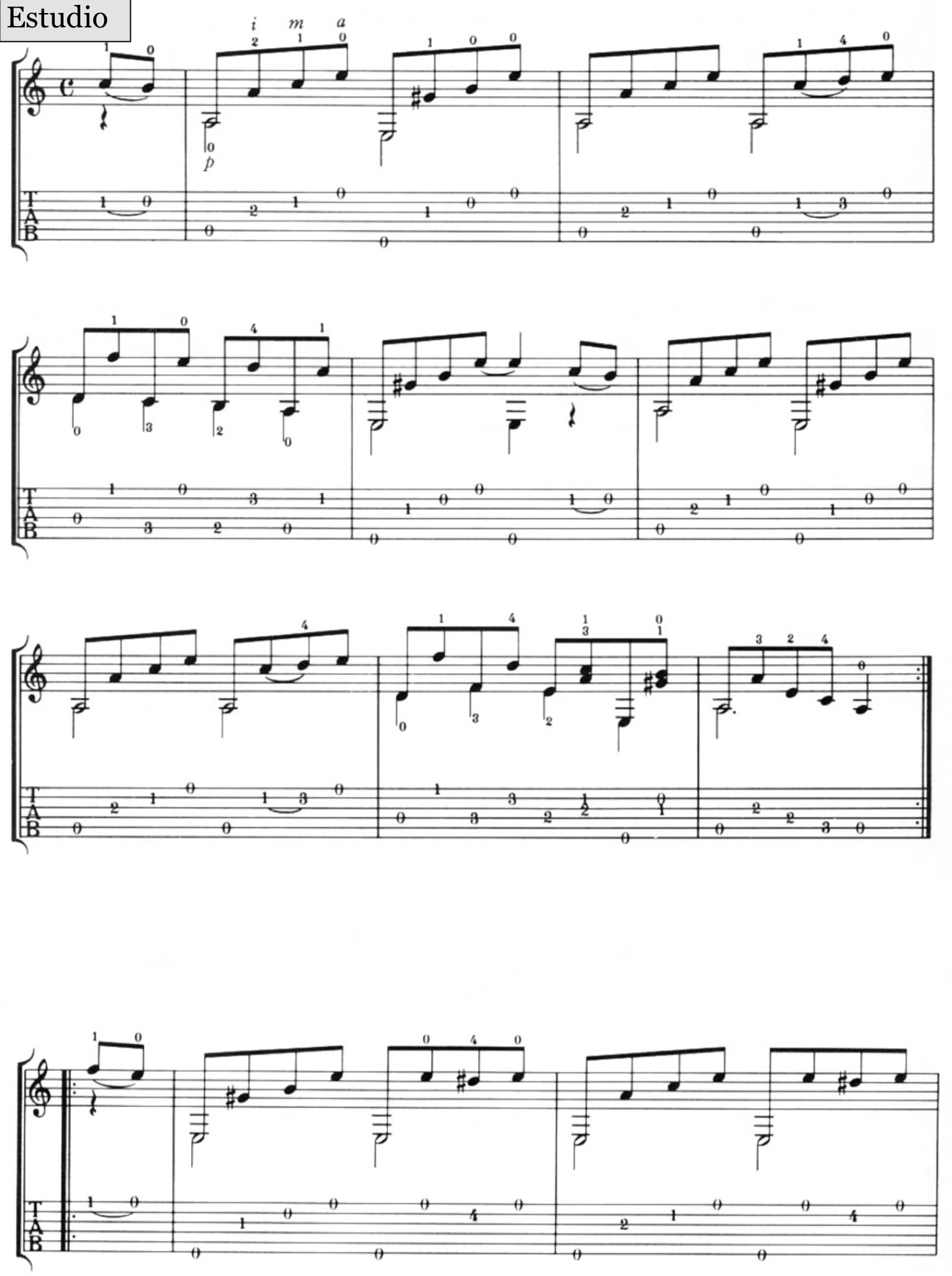 sheet